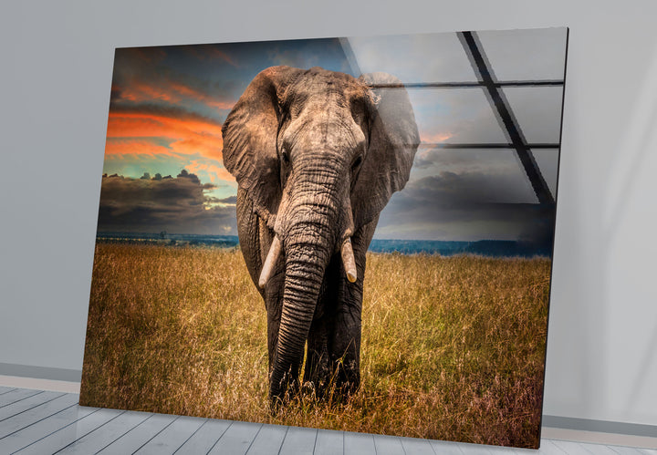 Majestic Elephant Glass Wall Art glass art painting, glass art for the Wall