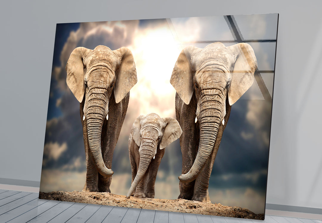 Safari Elephant Family Glass Wall Art print picture on glass, Tempered Glass Wall Art