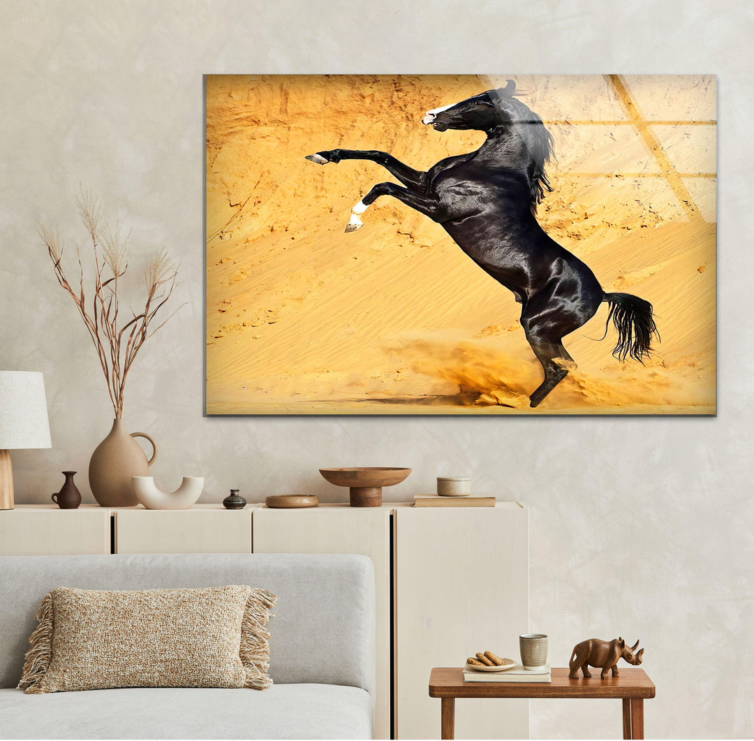 Black Horse on Desert Glass Wall Art glass photo prints, glass picture prints