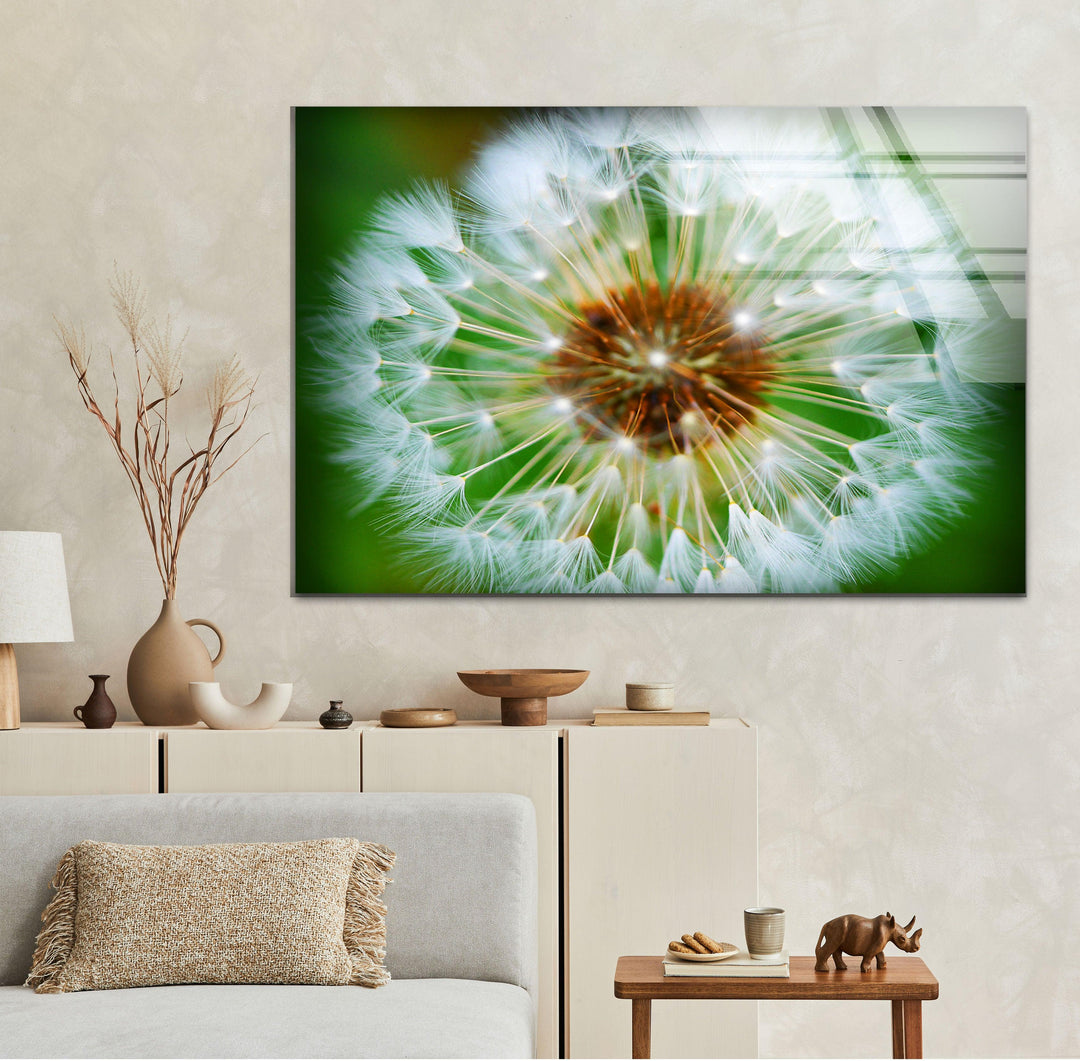 Single Dandelion Flower Glass Wall Art, glass pictures for Wall, glass prints wall art
