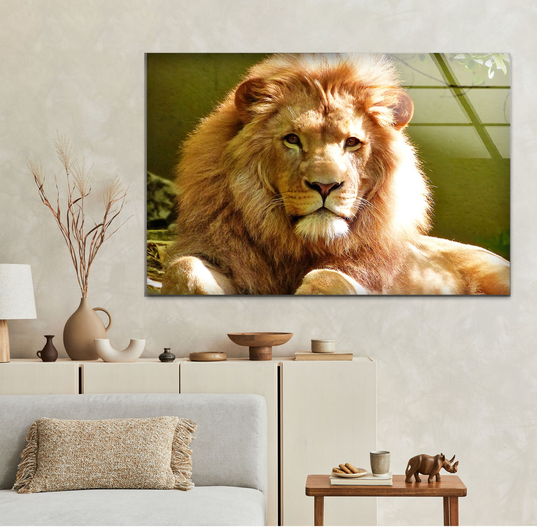 Wild Lion Portrait Glass Wall Art             glass wall decor, glass wall art decor