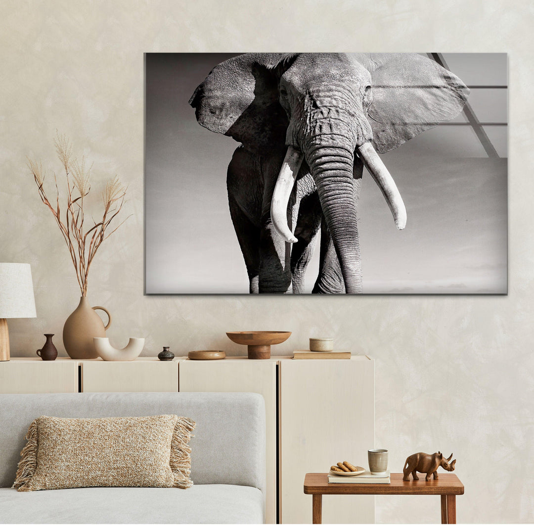 Black White Elephant Glass Wall Art custom glass pictures, glass art prints