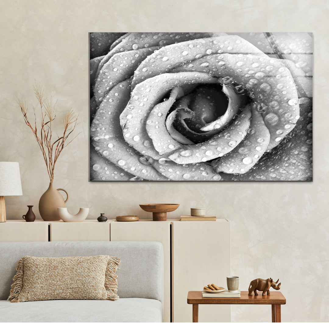 Black and White Rose Glass Wall Art, photo print on glass, prints on glass wall art