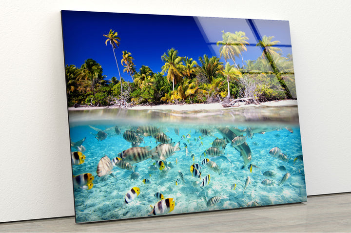 Tropical Fish & Palm Trees Glass Wall Art