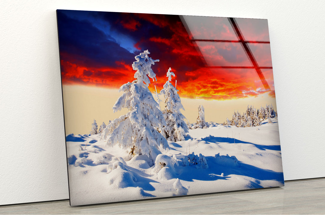 Winter Snowy Forest Glass Wall Art custom glass photo prints, large glass prints