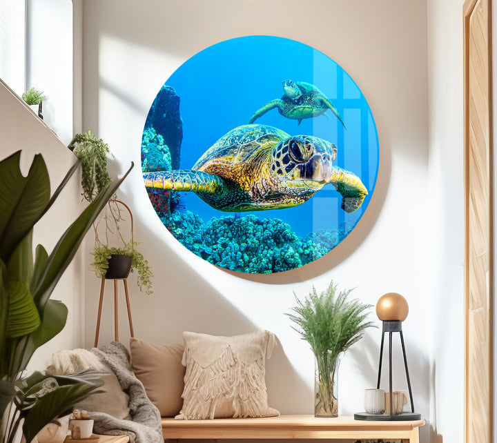 Sea Turtles Swimming Glass Wall Art glass image printing, glass prints from photos