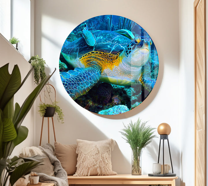 Graceful Sea Turtle Glass Wall Art photo print on glass, prints on glass wall art