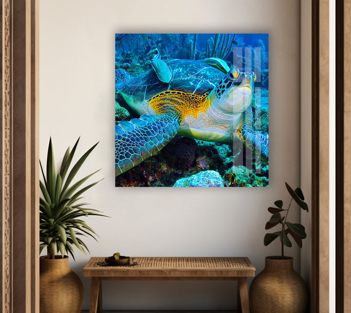 Graceful Sea Turtle Glass Wall Art custom glass pictures, glass art prints