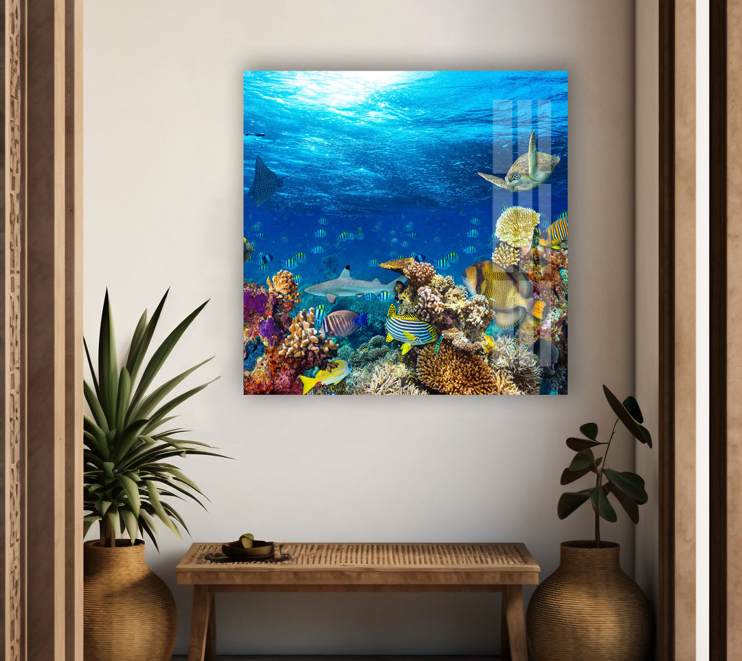 Tropic Under Ocean Glass Wall Art custom glass photo prints, large glass prints