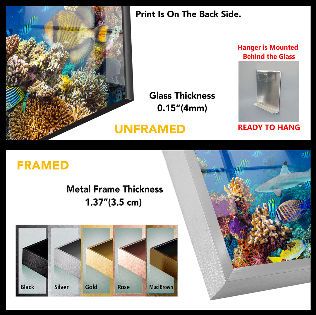 Aquarium Tempered Glass Wall Art - MyPhotoStation