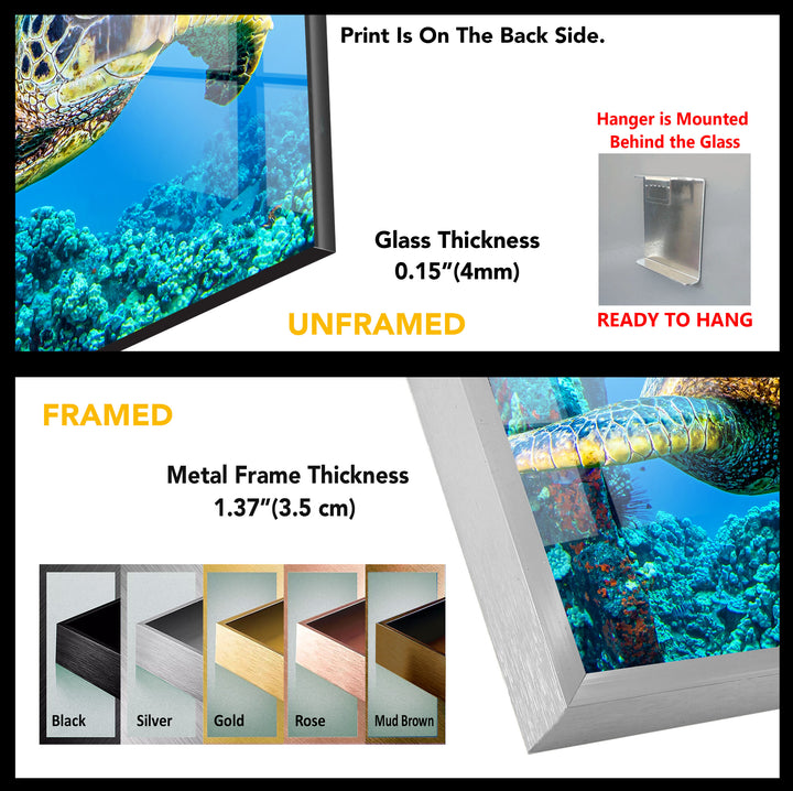 Aquarium Tempered Glass Wall Art - MyPhotoStation