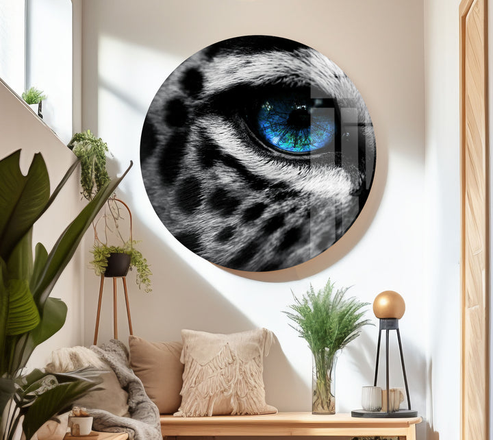 Leopard Eye Glass Wall Art glass photo prints, glass picture prints