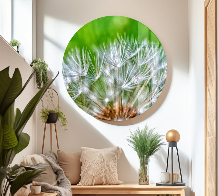 White Dandelion Seed Glass Wall Art, Glass Printing Wall Art, Print photos on glass