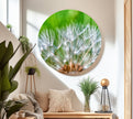 Dandelion Tempered Glass Wall Art