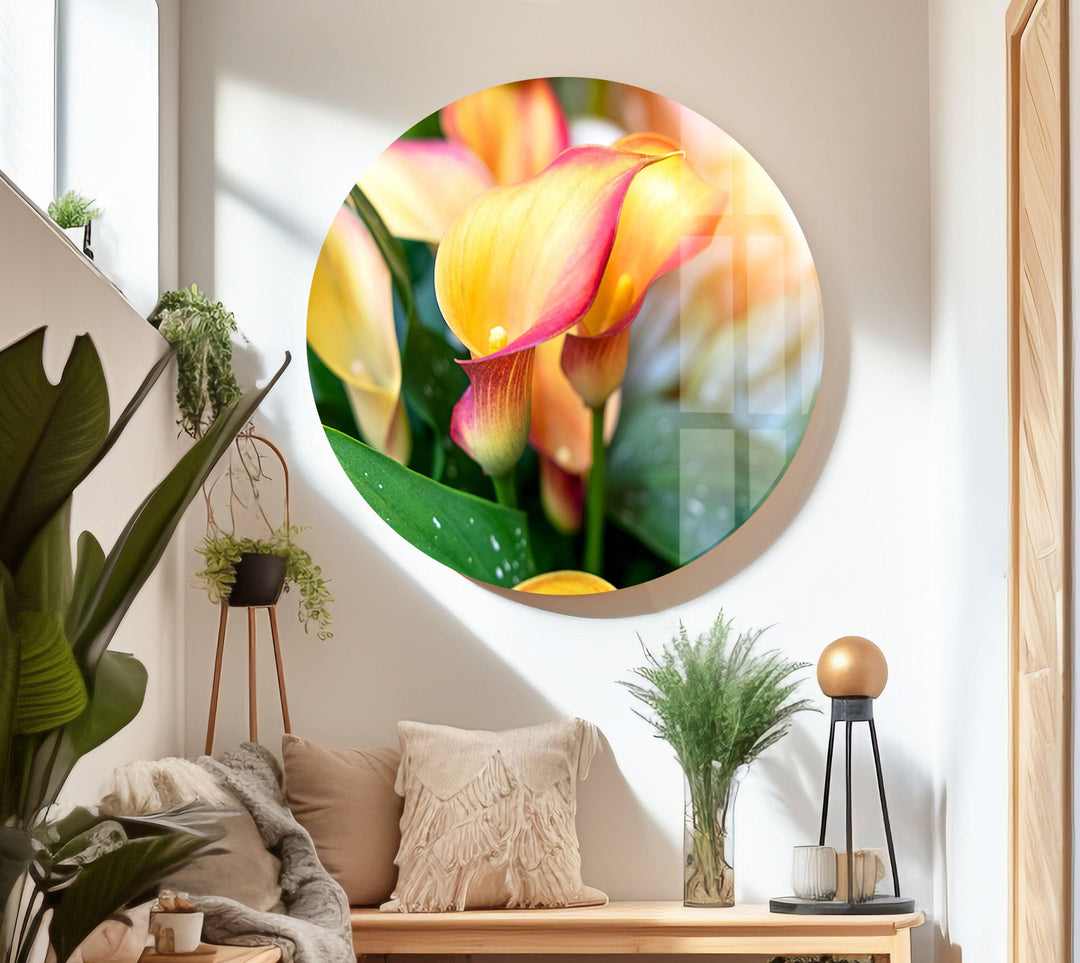 Colorful Calla Lilies Glass Wall Art, Glass Printing Wall Art, Print photos on glass