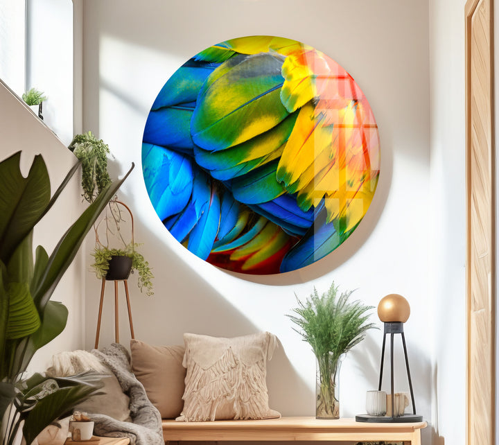 Colorful Feathers Wall Art