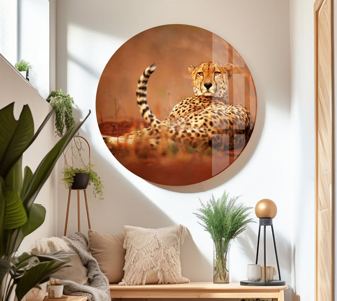 Cheetah in The Savanna Glass Wall Art glass art painting, glass art for the Wall