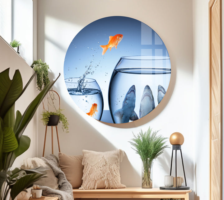 Goldfish Shark Glass Wall Art picture on glass wall art, photos printed on glass