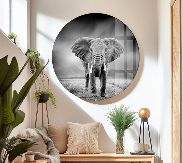 Large Elephant Glass Wall Art glass photo prints, glass picture prints