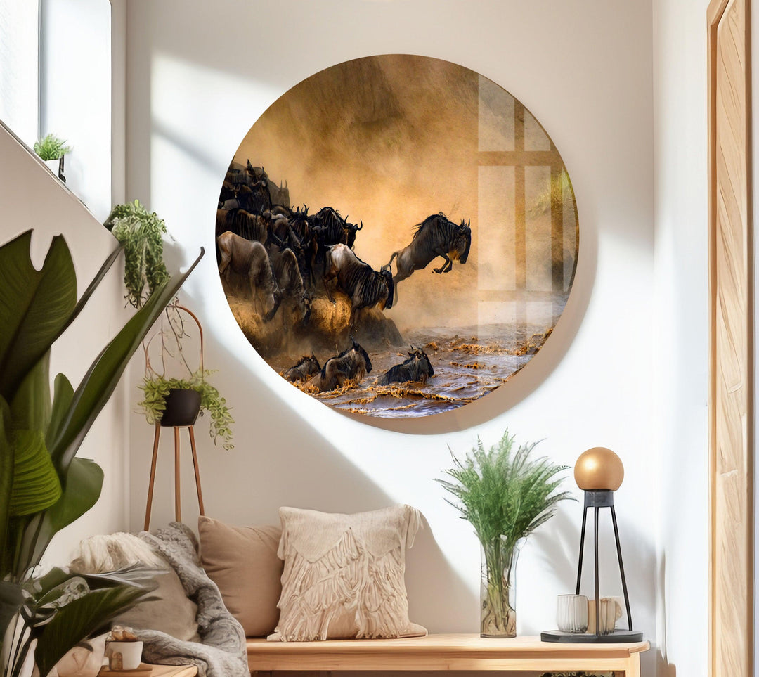 Wildebeests Running on Safari Glass Wall Art custom glass photo prints, large glass prints