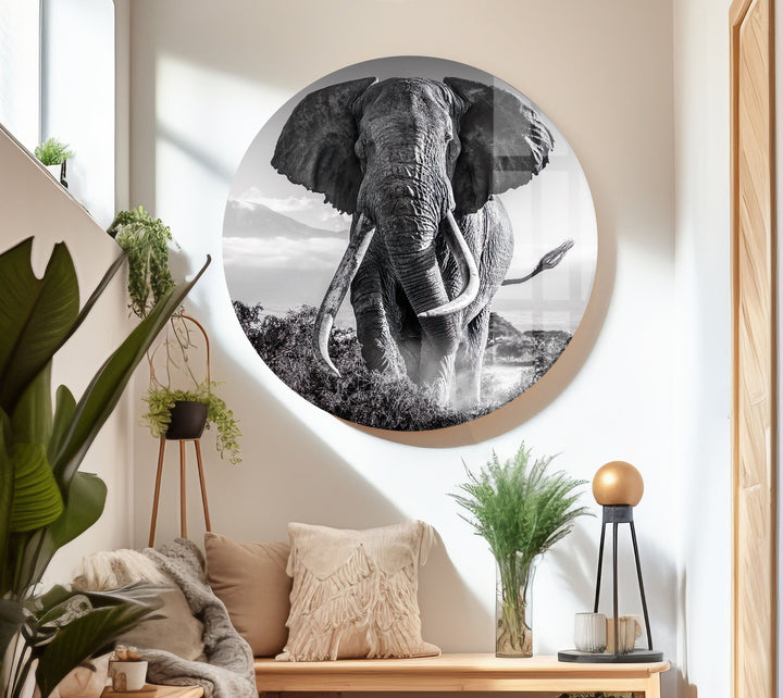 Old Elephant Running Glass Wall Art photo print on glass, prints on glass wall art