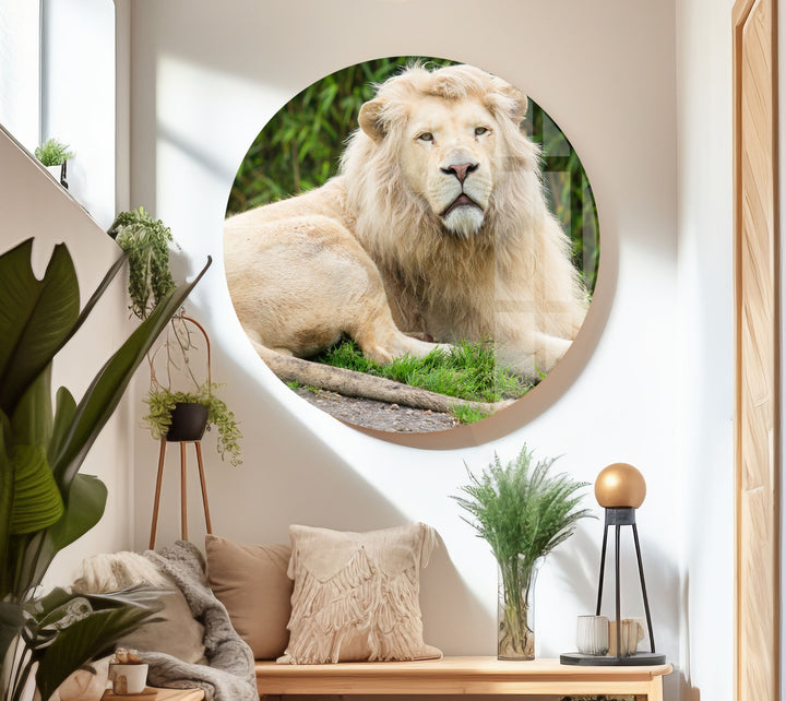 Wild White Lion Glass Wall Art art glass wall art, glass wall art pictures