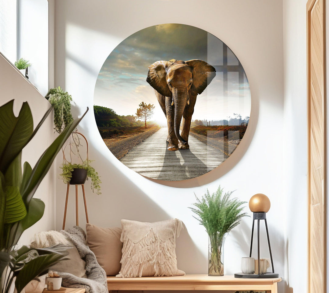 Vivid Elephant Art Glass Wall Art glass pictures for Wall, glass prints wall art