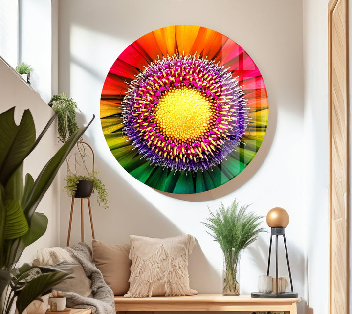 Rainbow Gerbera Flower Close Up Glass Wall Art, photo print on glass, prints on glass wall art