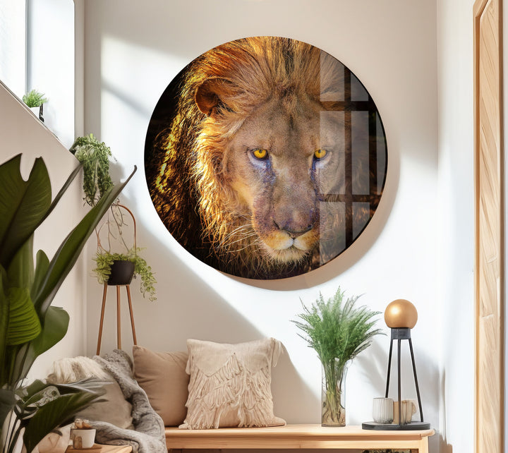 Angry Lion Glass Wall Art glass art painting, glass art for the Wall