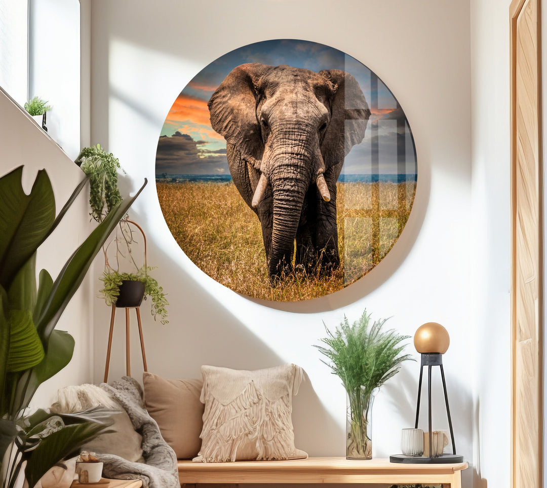 Majestic Elephant Glass Wall Art Glass Printing Wall Art, Print photos on glass