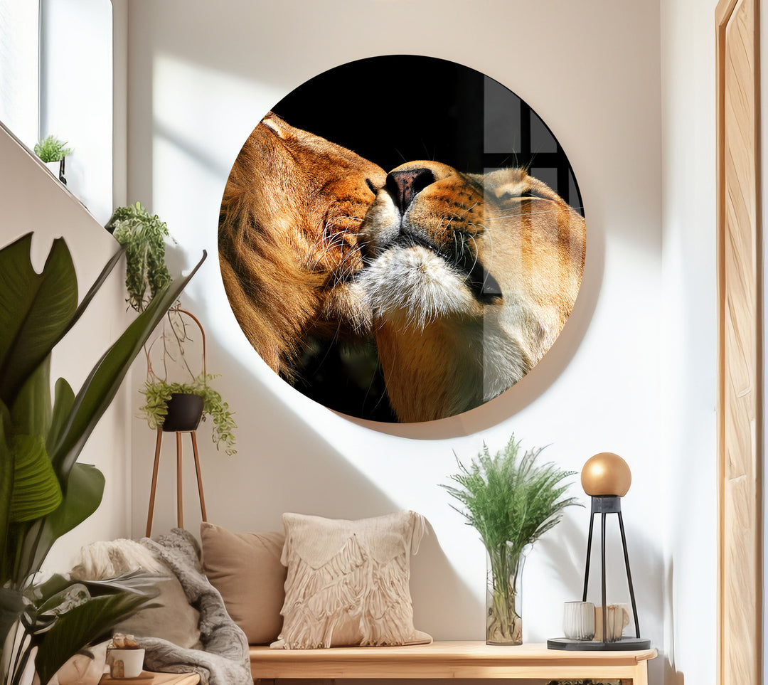 Couple Lions Glass Wall Art picture on glass wall art, photos printed on glass