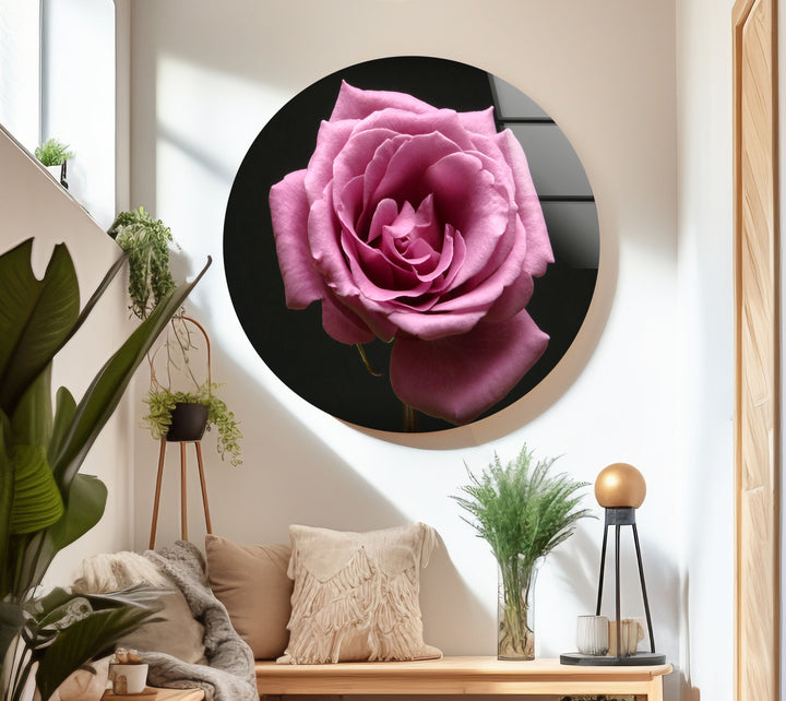 Pink Rose On Black Glass Wall Art, art glass wall art, glass wall art pictures