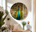 Peacock Feather Tempered Glass Wall Art - MyPhotoStation