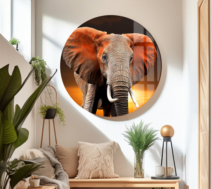 Wildlife Elephant Glass Wall Art glass photo prints, glass picture prints