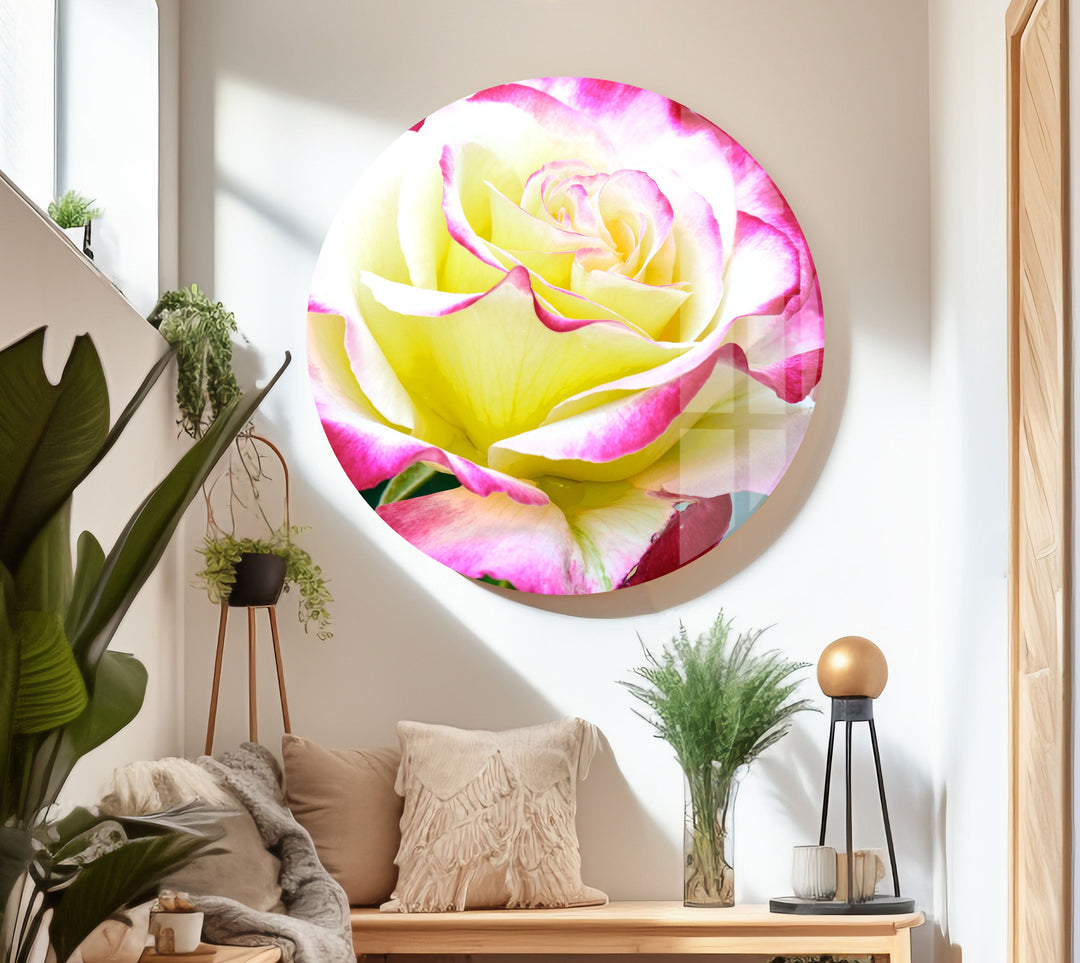 Vivid Yellow Rose Glass Wall Art, custom glass photo prints, large glass prints