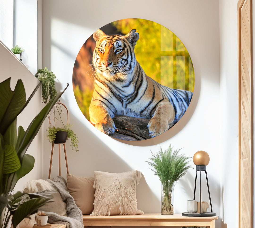 Tiger on The Rock Glass Wall Art stained glass wall art, stained glass wall decor