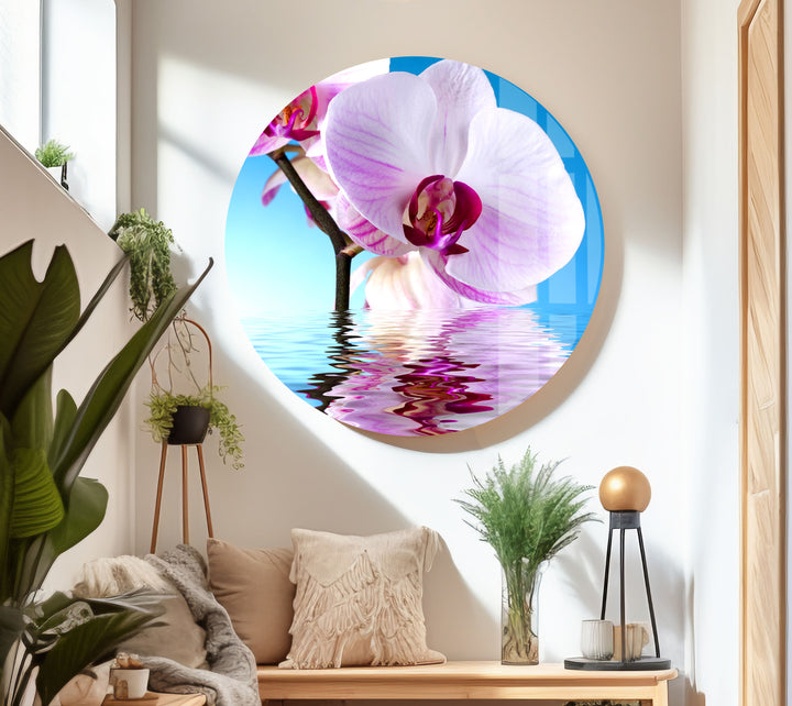 Pink Orchid Glass Wall Art, large glass photo prints, glass wall photos