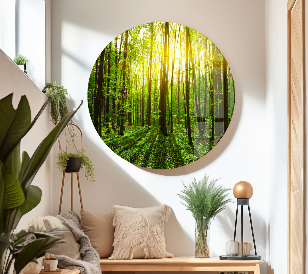 Sunshine Forest Landscape Unique Landscape Glass Wall Art Pieces