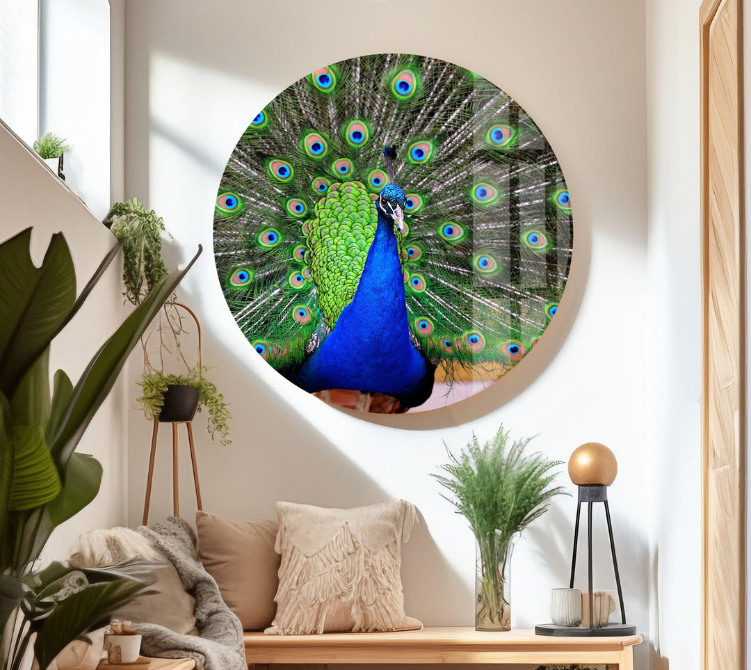 Peacock Feather Art Glass Wall Art glass image printing, glass prints from photos