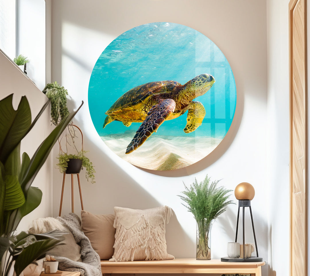 Sea Turtle Tropical Glass Wall Art photo print on glass, prints on glass wall art