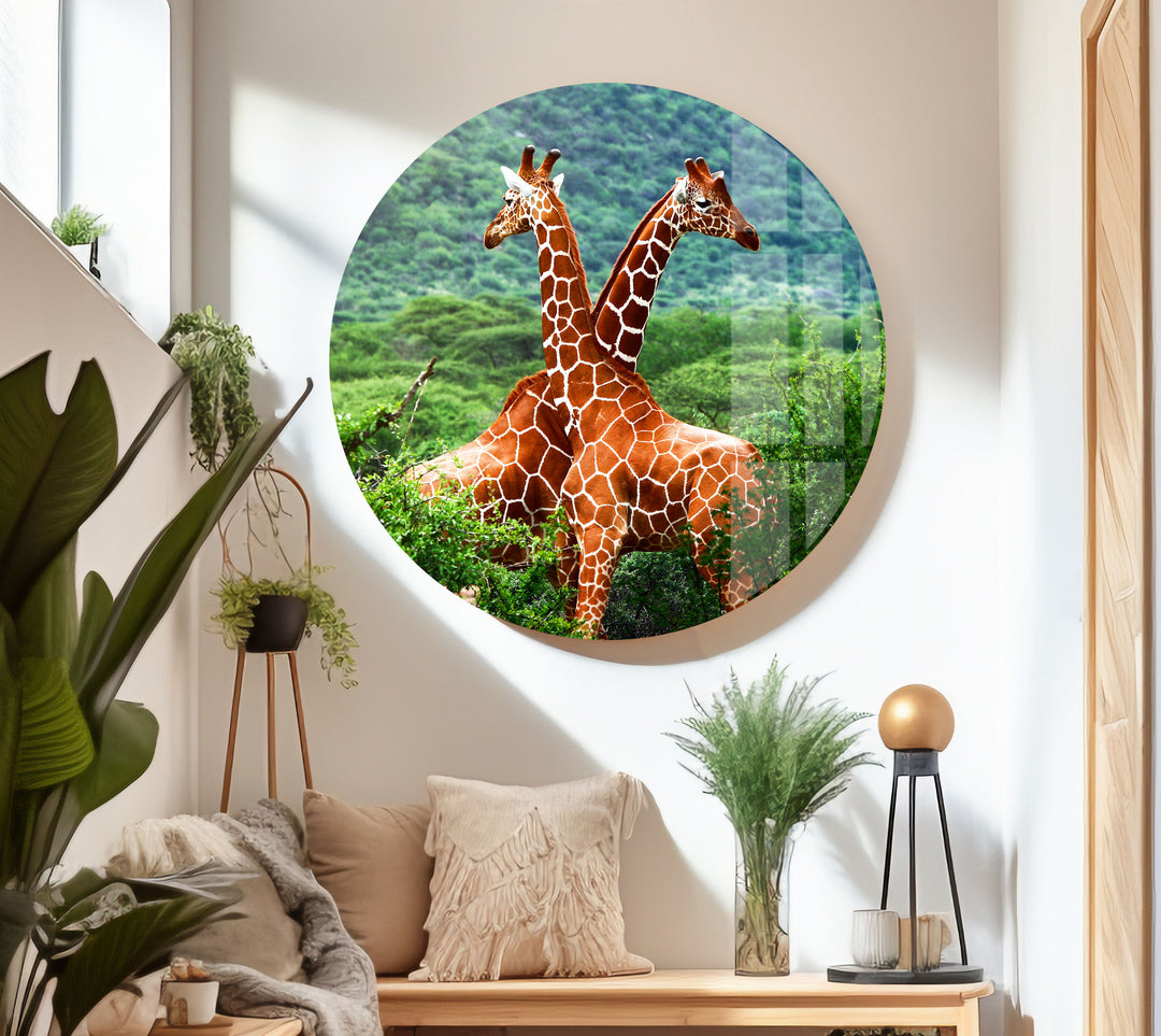 Giraffe in Forest Glass Wall Art print picture on glass, Tempered Glass Wall Art