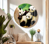 Baby Panda Tempered Glass Wall Art - MyPhotoStation