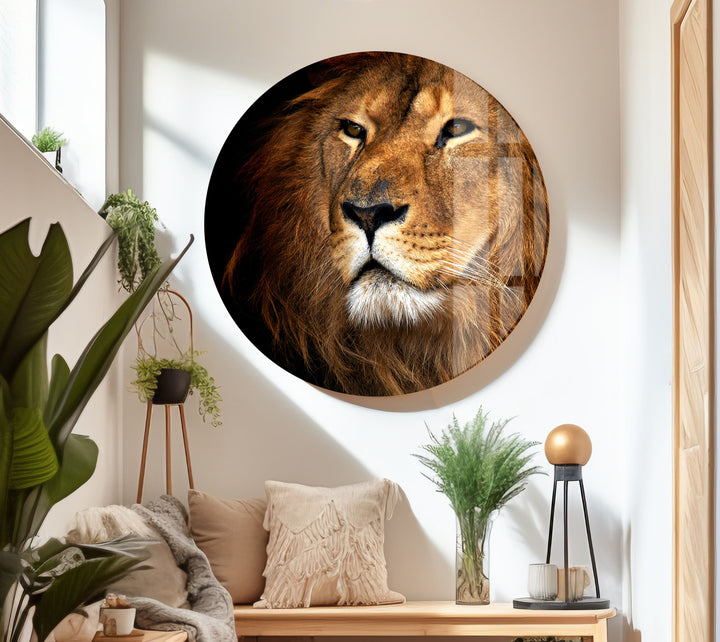 Asiatic Lion Glass Wall Art art glass wall art, glass wall art pictures