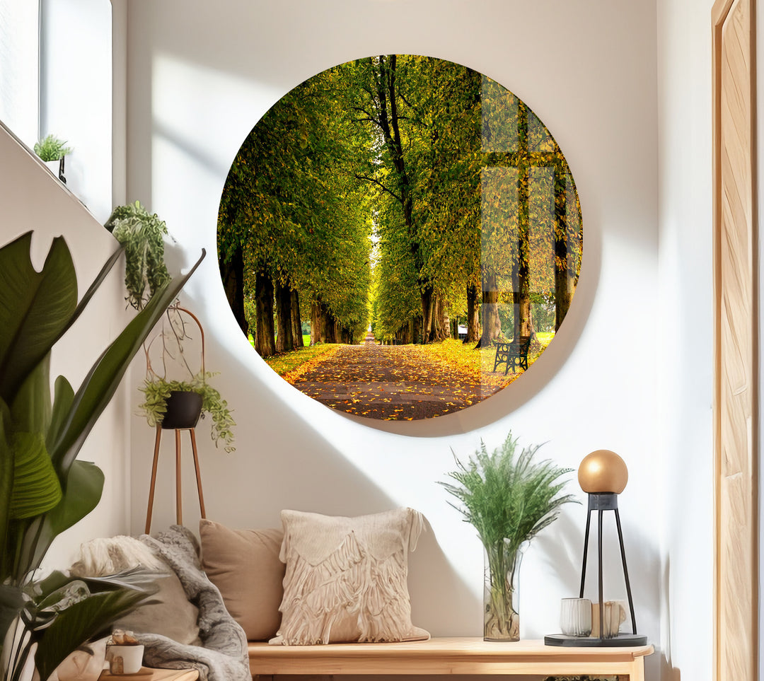 Nature Forest Glass Wall Art print on glass, glass printed photos