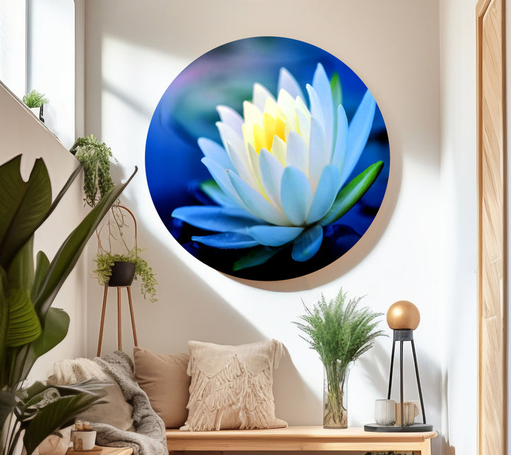 White Water Lotus Glass Wall Art, photo print on glass, prints on glass wall art