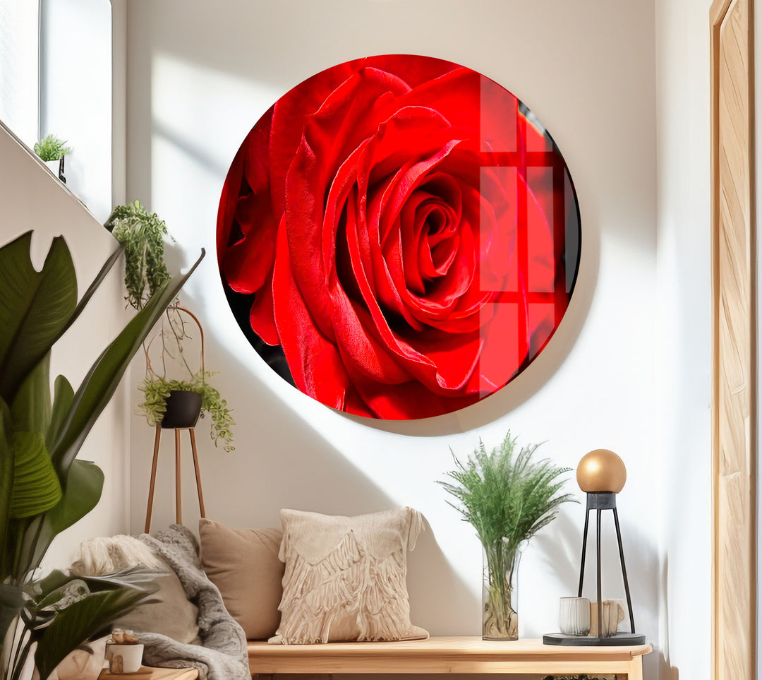 Red Rose Closeup Glass Wall Art, Glass Printing Wall Art, Print photos on glass