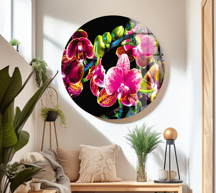 Orchid Closeup On Black Glass Wall Art, glass image printing, glass prints from photos
