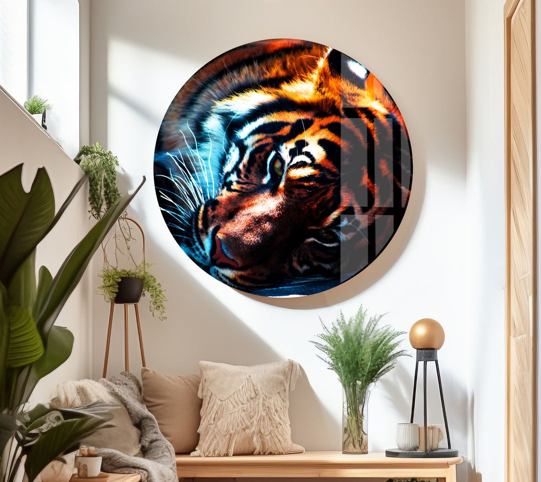 Dark Tiger Glass Wall Art photo print on glass, prints on glass wall art