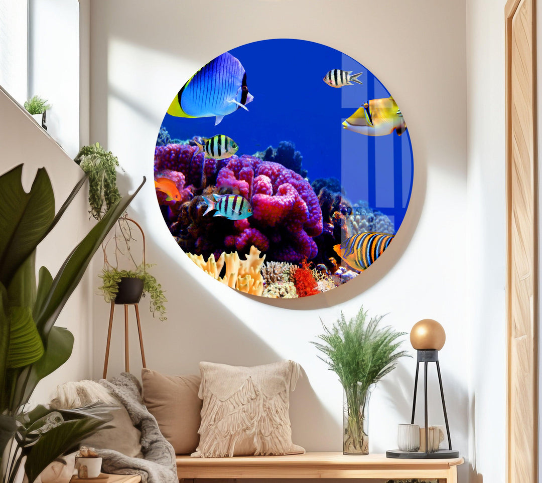 Tropical Aquarium Glass Wall Art Glass Printing Wall Art, Print photos on glass