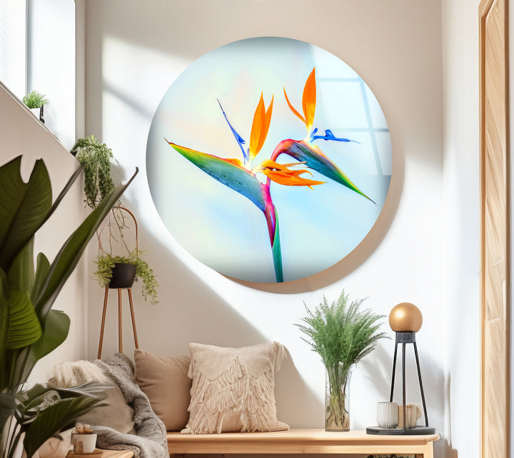 Strelitzia Flower Glass Wall Art, glass image printing, glass prints from photos